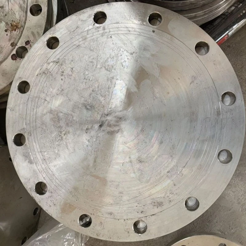Petrochemical pipe flange