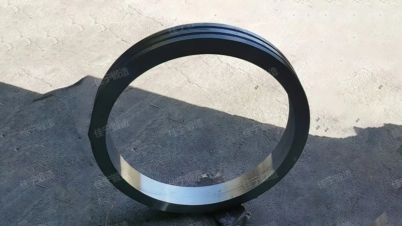1Cr5Mo forging