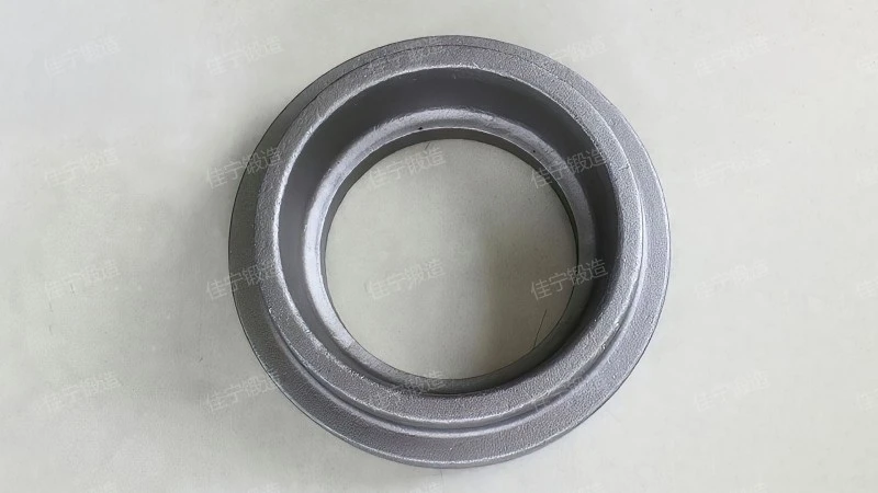 Dual phase stainless steel free forging