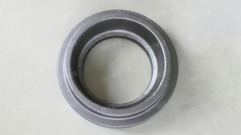Ring forging parts