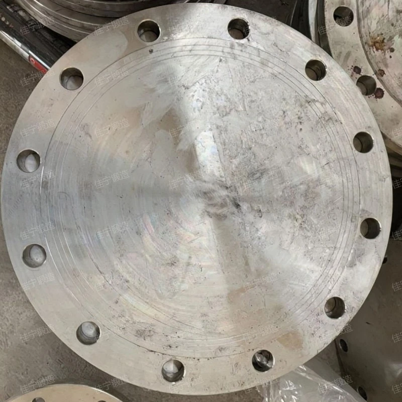Mold steel blind flange