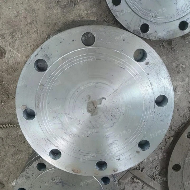 RJ blind plate