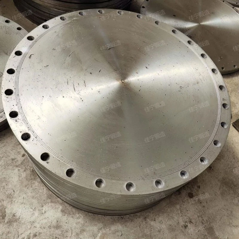Porous blind plate
