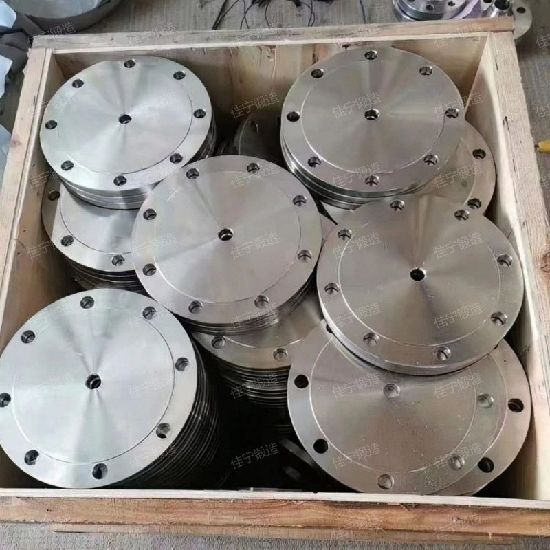 Manhole blind flange