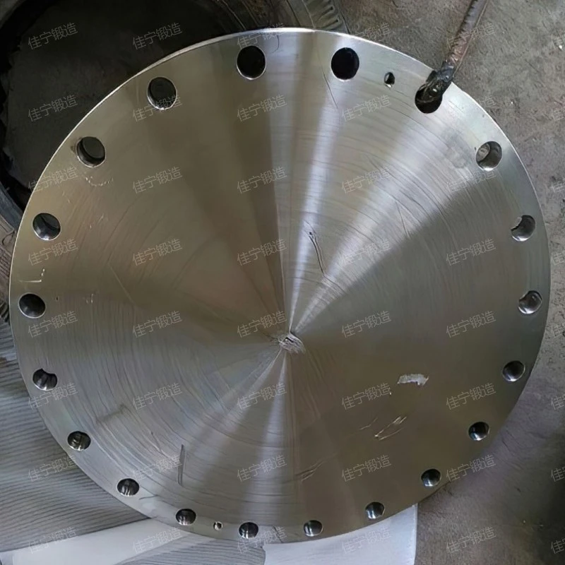 Blind flange of pressure vessel