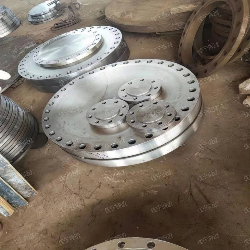 What is a Petrochemical pipe flange? How much is the price of the tube sheet?
