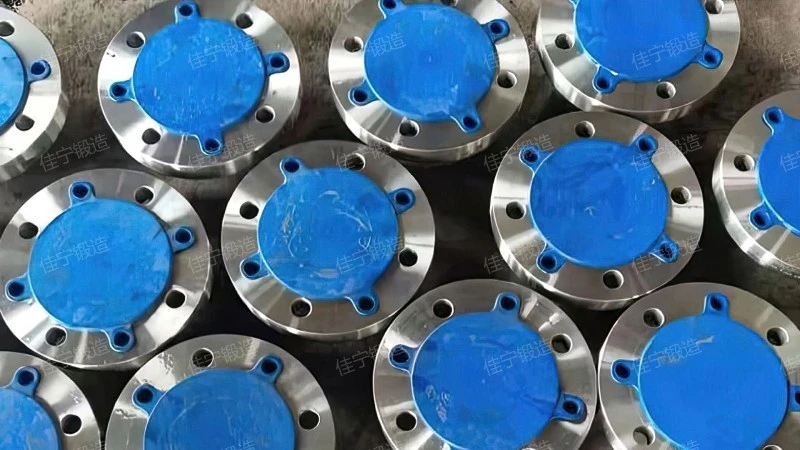 Wind power coupling flange ring