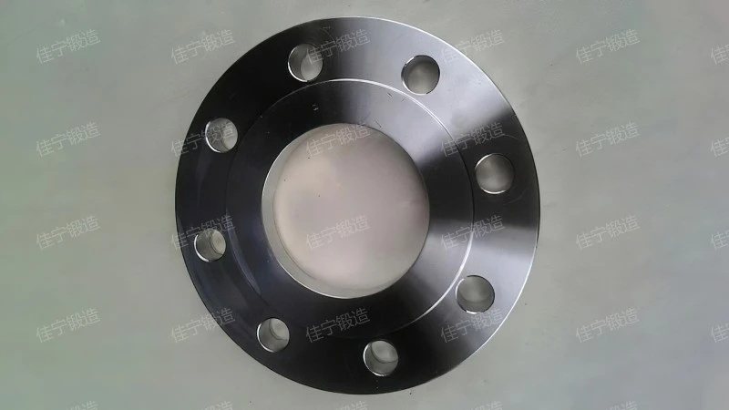 Petrochemical flat welding flange cover